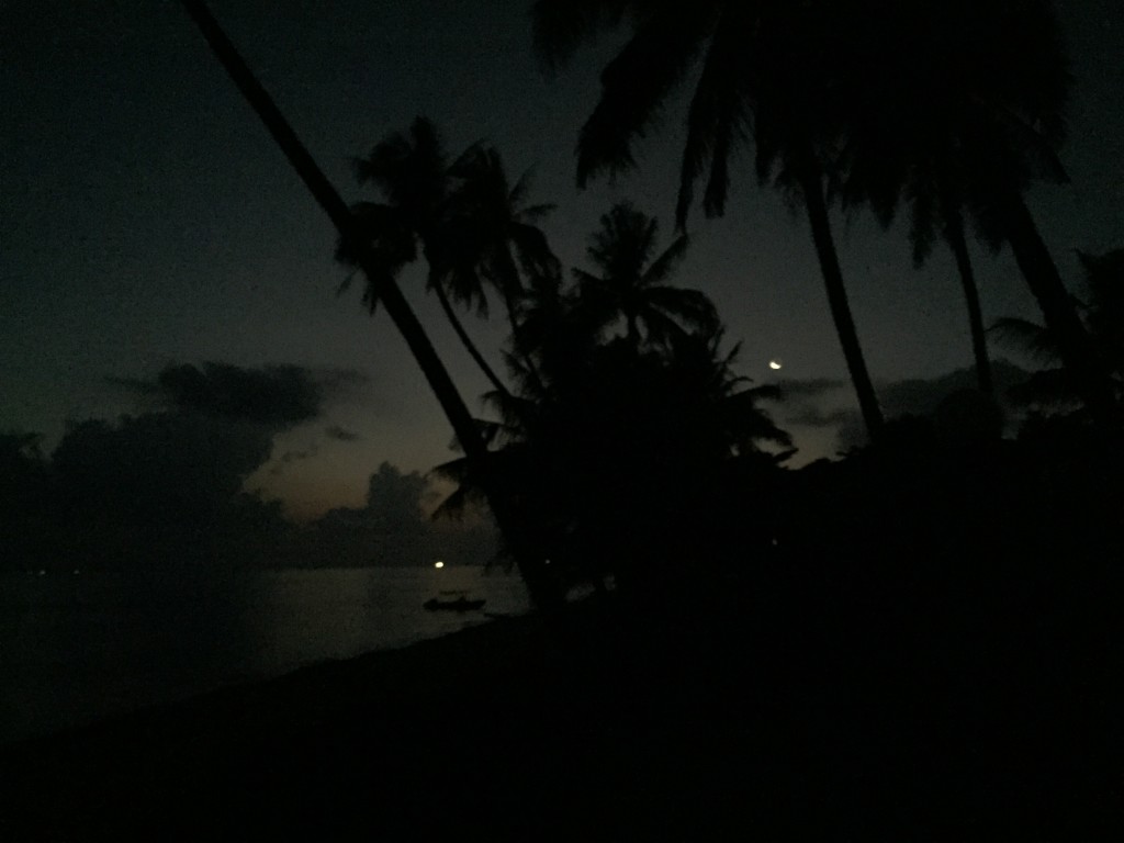 Sitting out by the beach in the pre-sunrise, watching the moon.